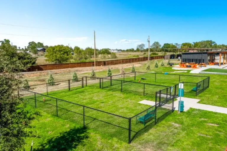 Dog Park